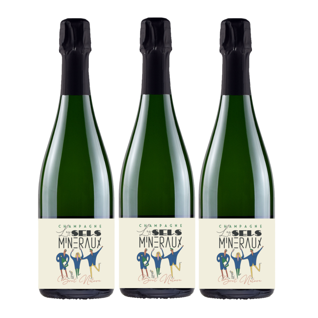 CHAMPAGNE "LE SELS MINERAUX" BRUT NATURE - PAUL DANGIN OFFERTA 3 BOTTIGLIE