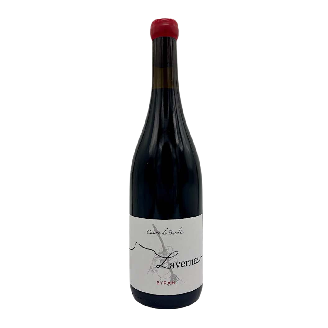 TOSCANA IGT SYRAH "LAVERNAE" 2020 - CASINA DI BURCHIO