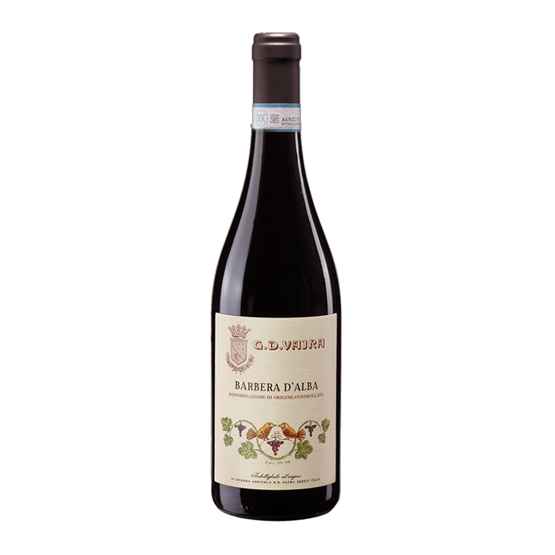 BARBERA D'ALBA DOC 2024 - VAJRA