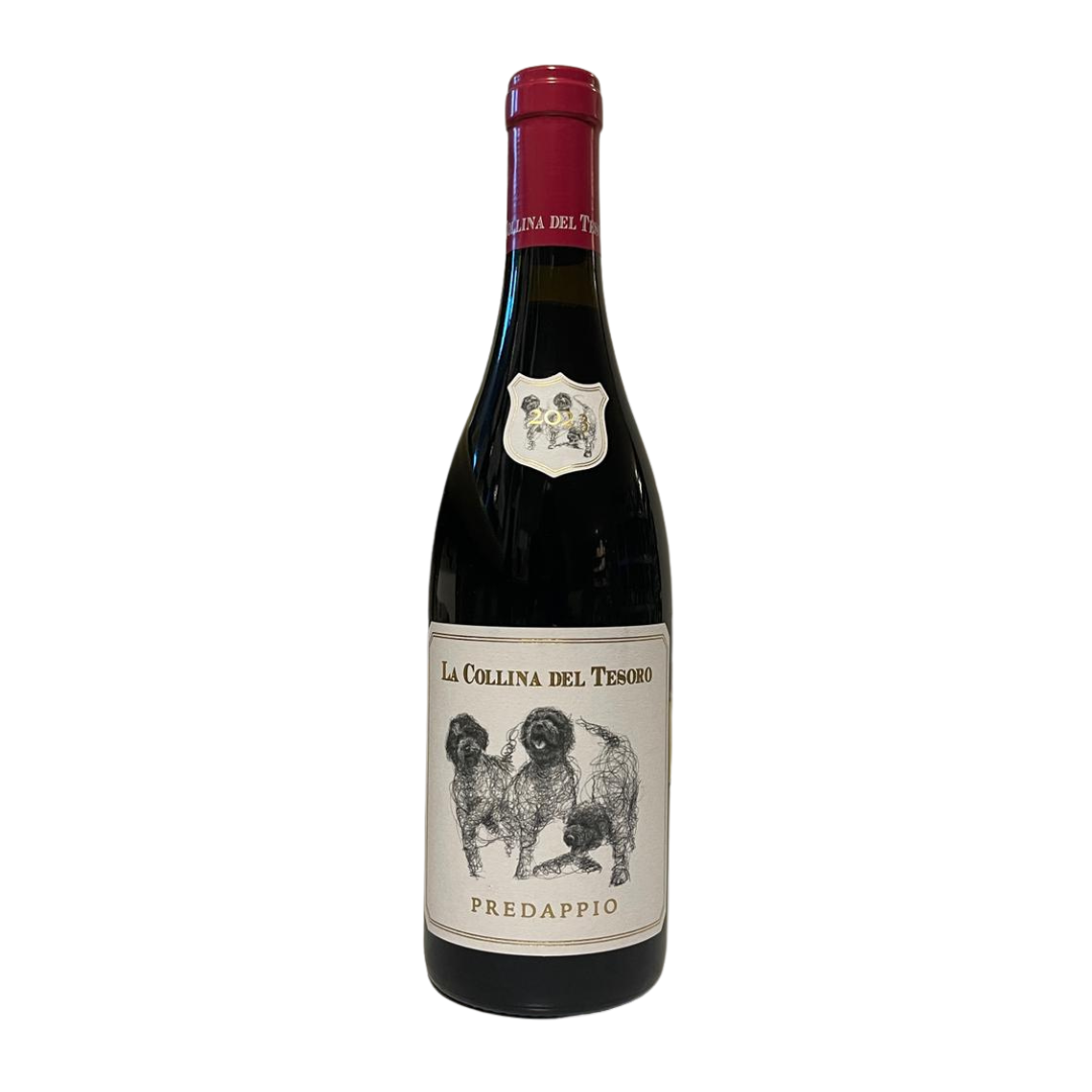 ROMAGNA DOP SANGIOVESE "PREDAPPIO" 2023 - LA COLLINA DEL TESORO