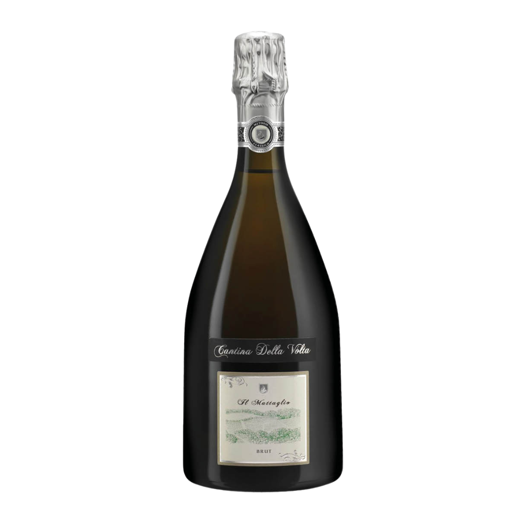 SPUMANTE BRUT METODO CLASSICO  "IL MATTAGLIO " - CANTINA DELLA VOLTA