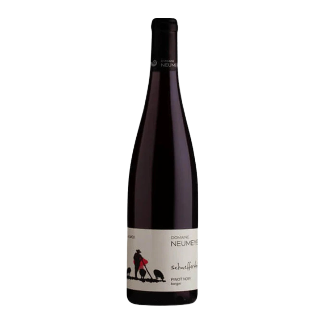 ALSACE ROUGE PINOT NOIR "SCHAEFFERSTEIN" 2022 - DOMAINE NEUMEYER