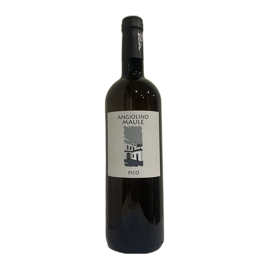 GARGANEGA IGT "PICO" 2023 - LA BIANCARA