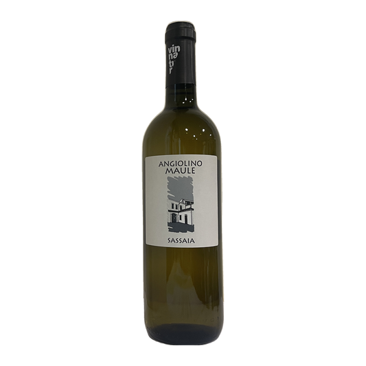 GARGANEGA IGT VINNATUR "SASSAIA" 2024 - LA BIANCARA