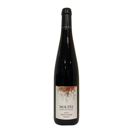 PINOT NOIR IGT "TRADITION" - MOLTES